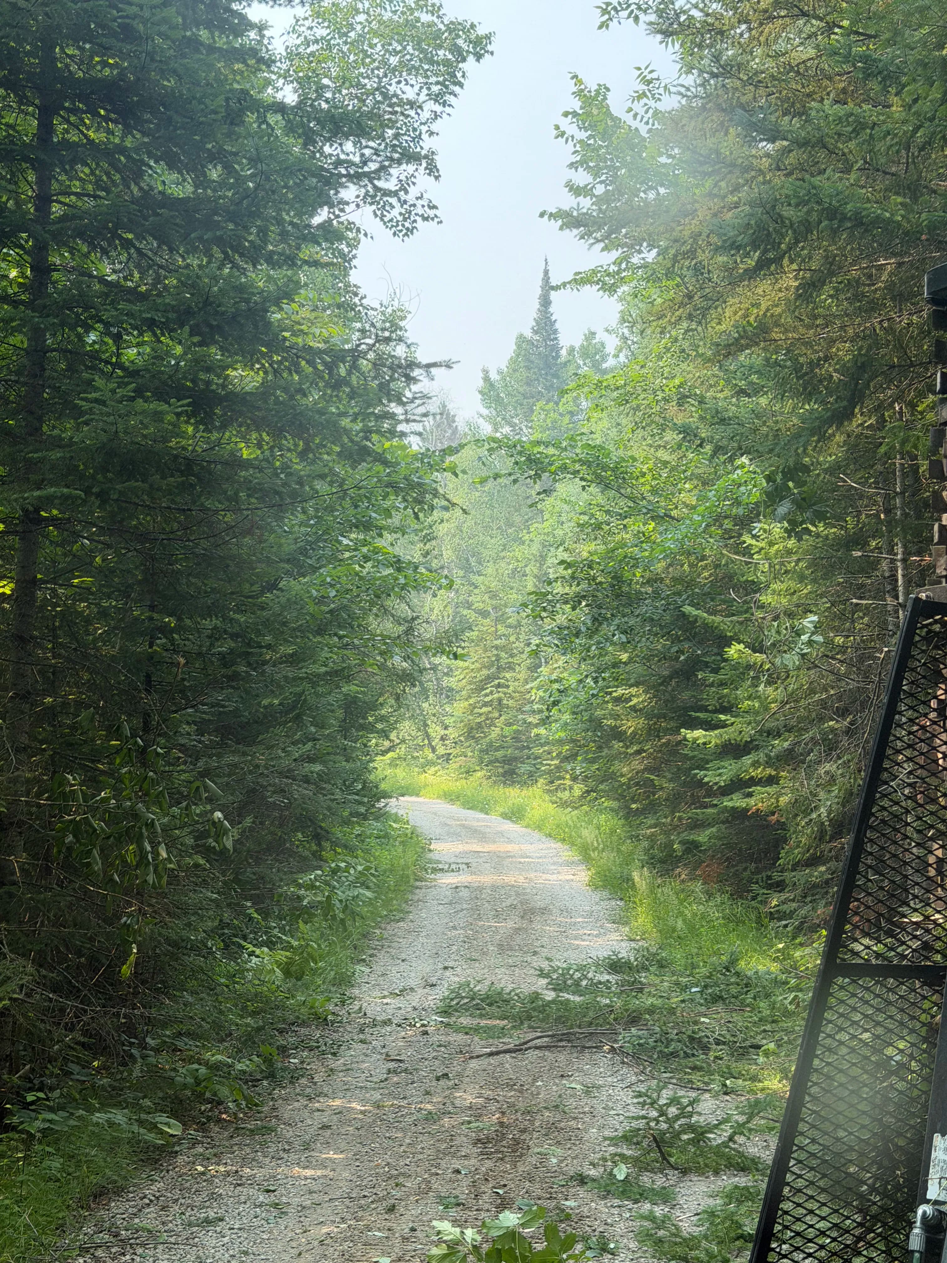 Project Tight Driveways and Overgrown Access Roads Get Opened Back Up image