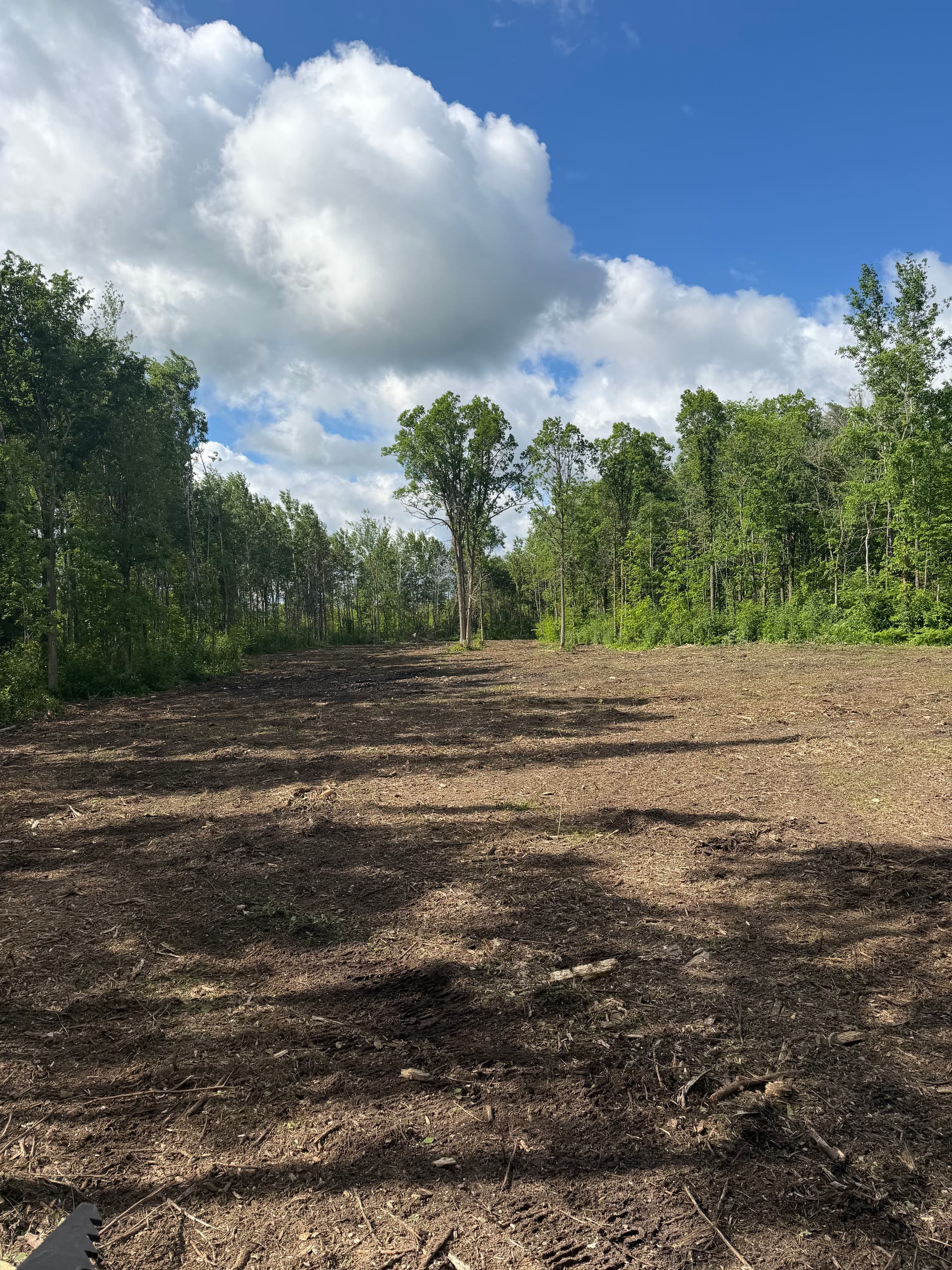 Gallery photos for Logging Debris Cleared and Food Plot Ready with Forestry Mulching: Image #1
