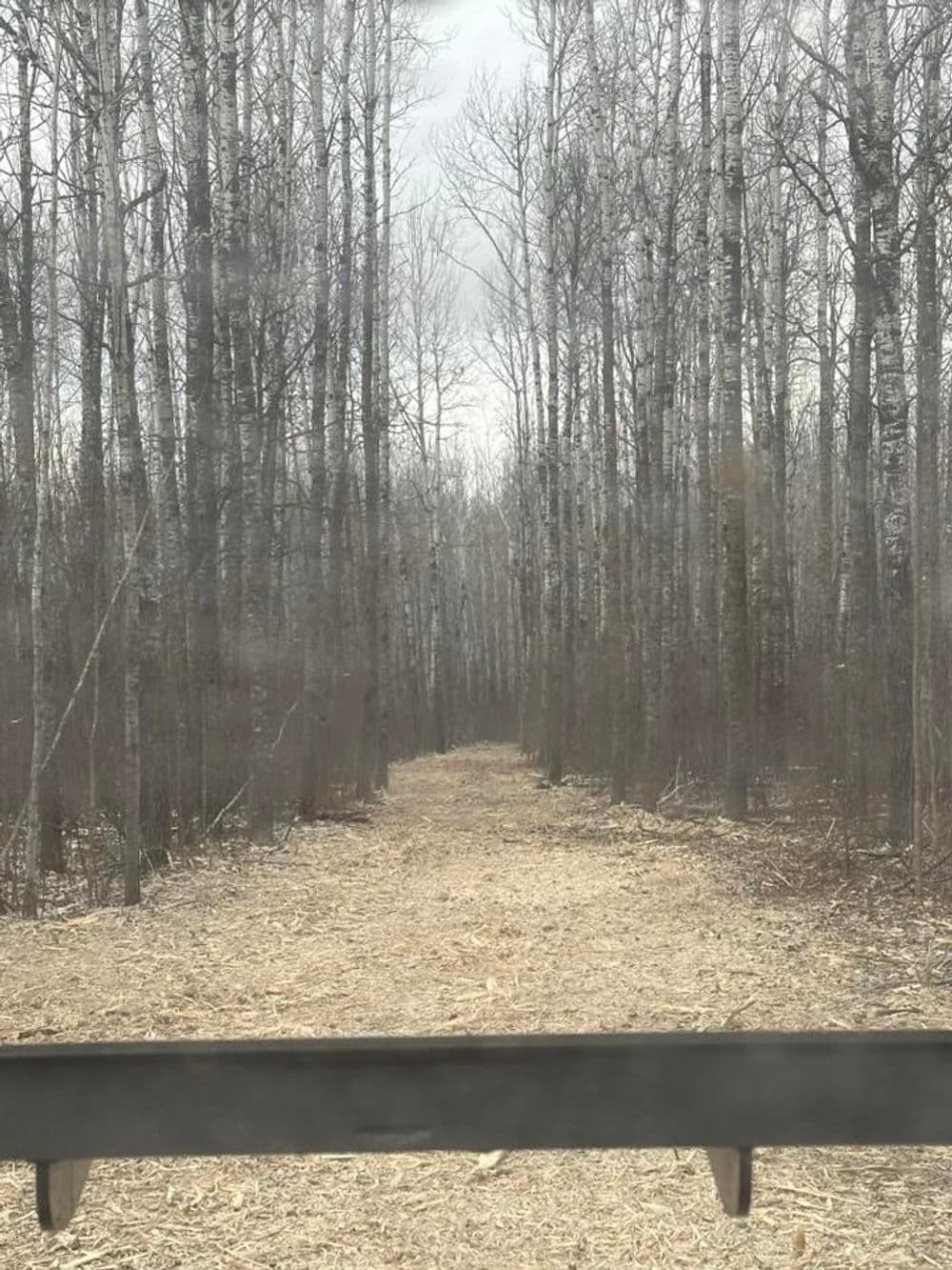 Driveway, Trail, and Field Edge Trimming image