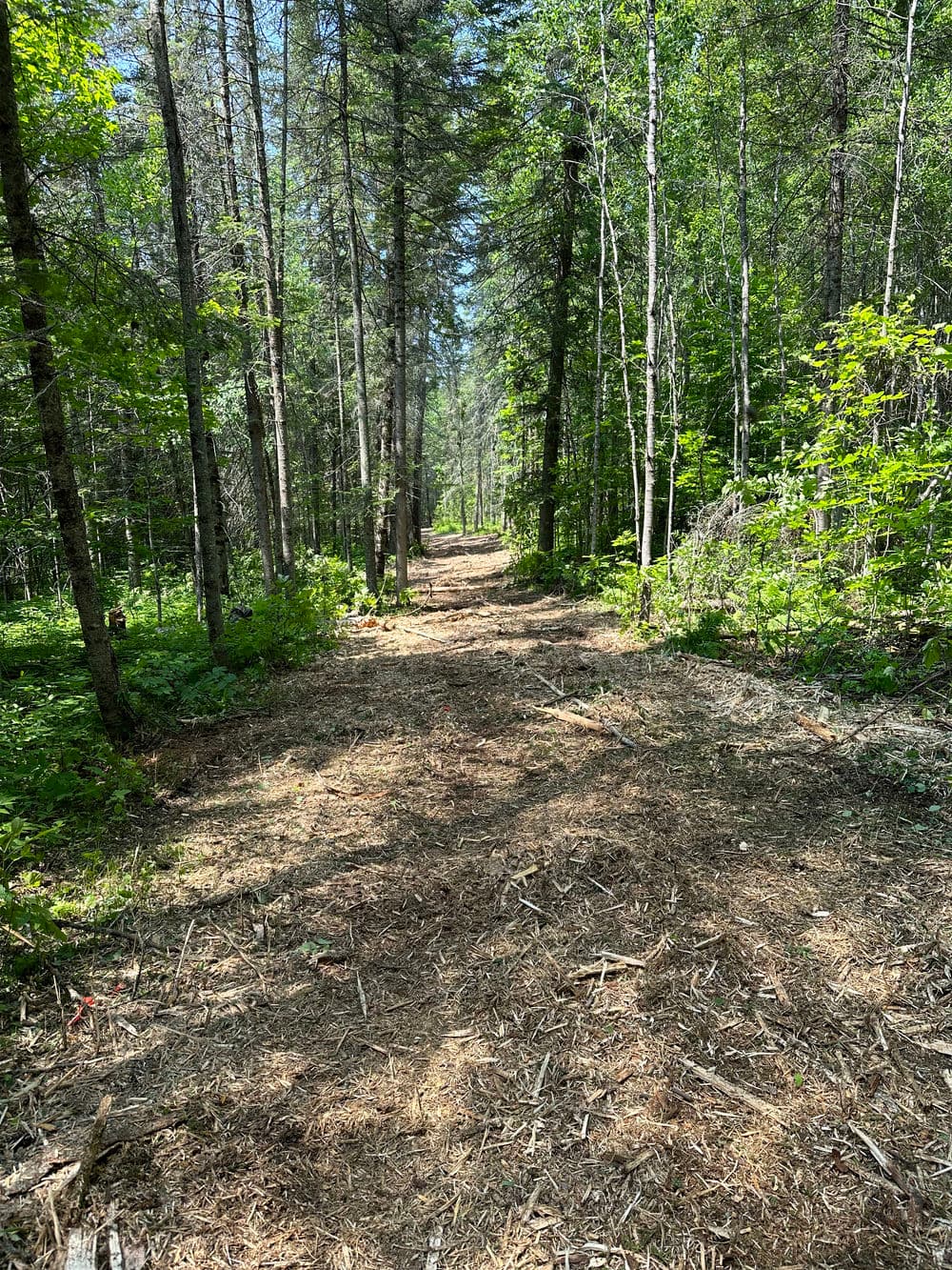 Forestry Mulching image