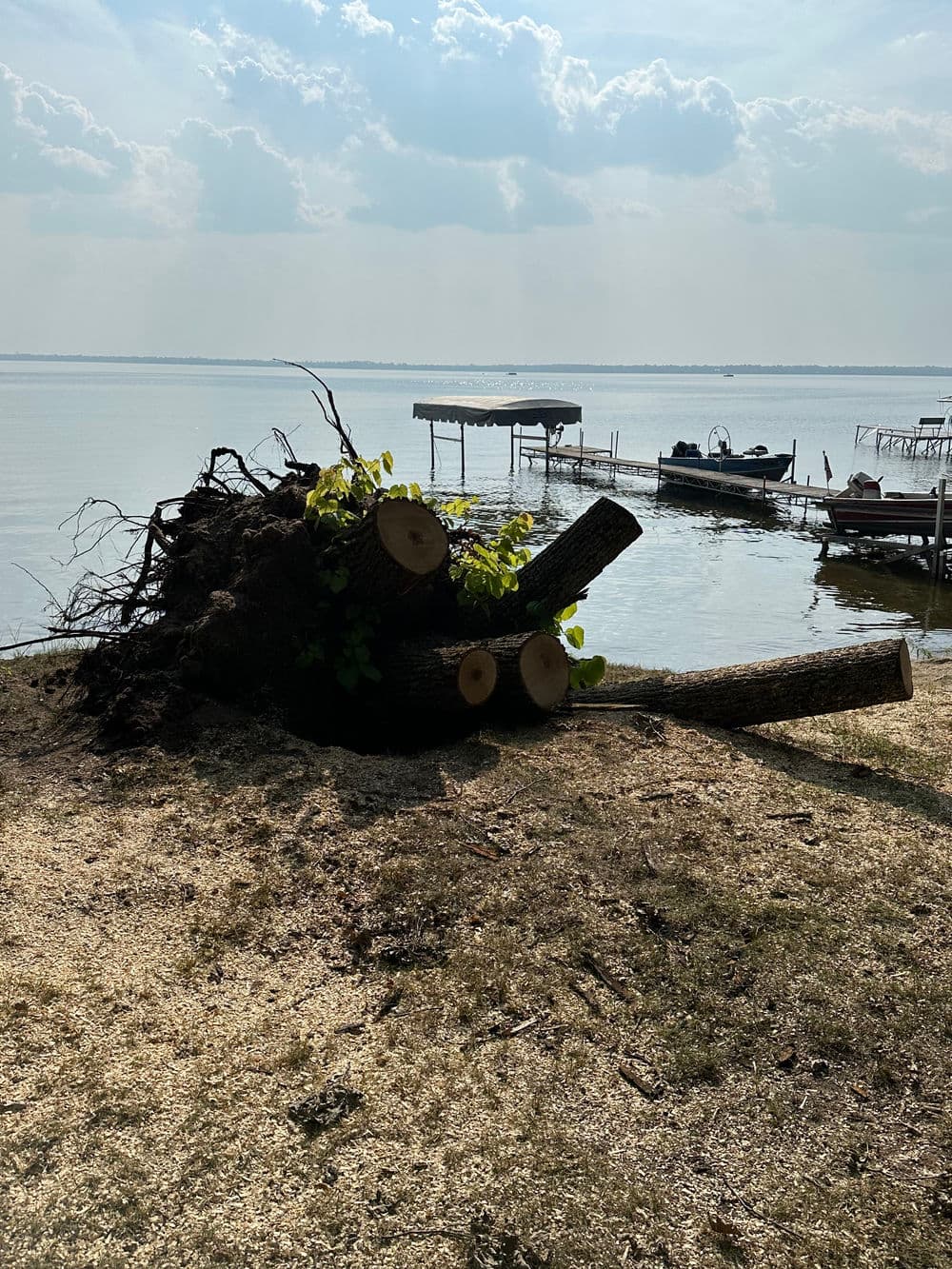 Stump Grinding image