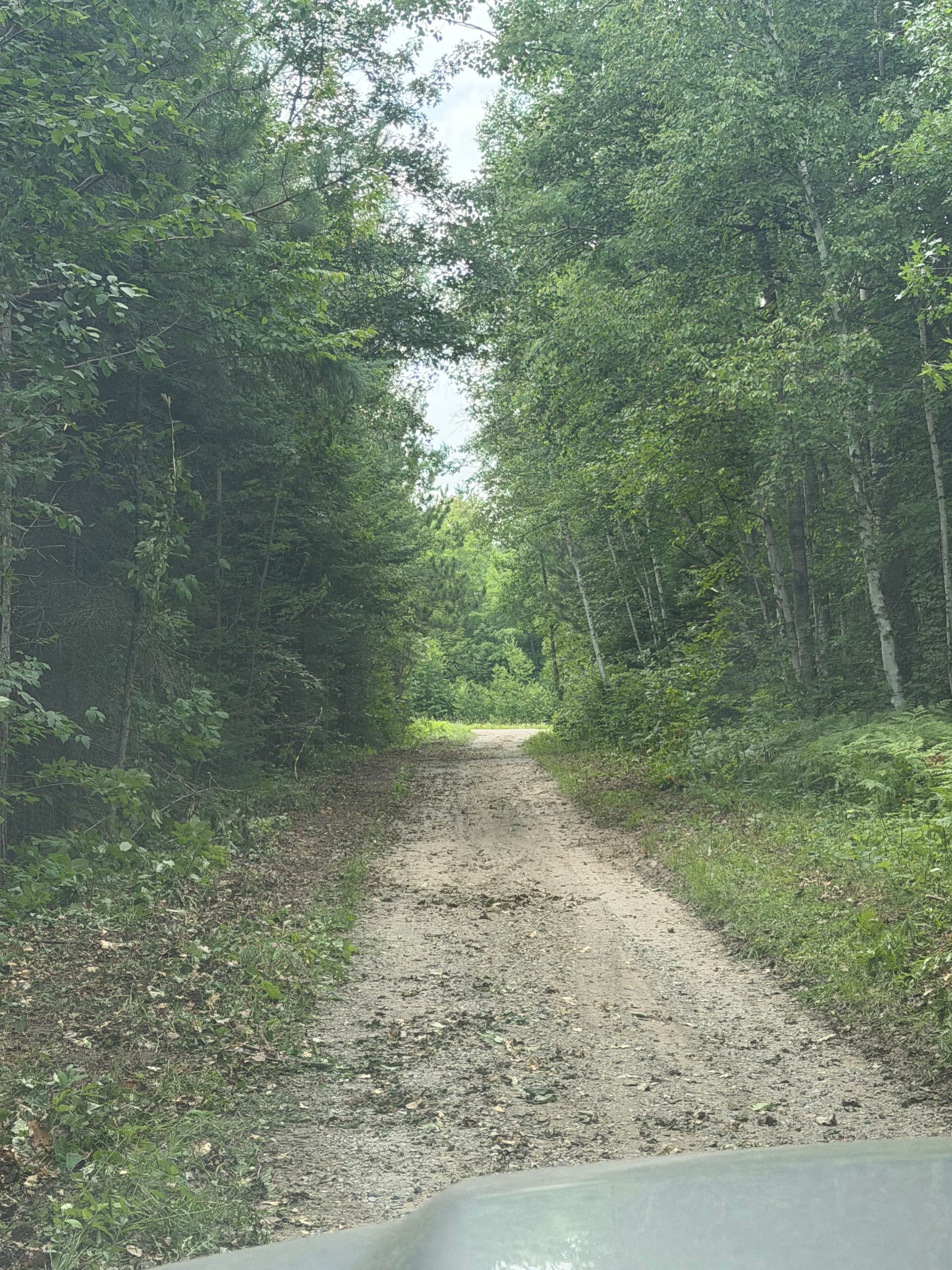Gallery photos for Tight Driveways and Overgrown Access Roads Get Opened Back Up: Image #2